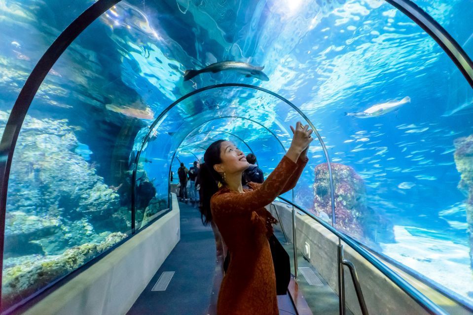 Barcelona Aquarium Tunnel